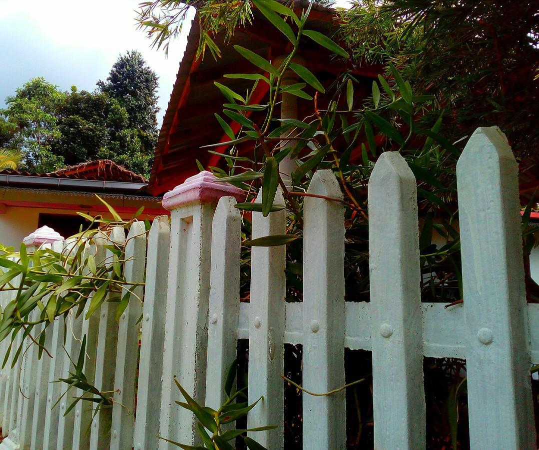 Ancient Gardens Villa Pinnawala  Exterior photo